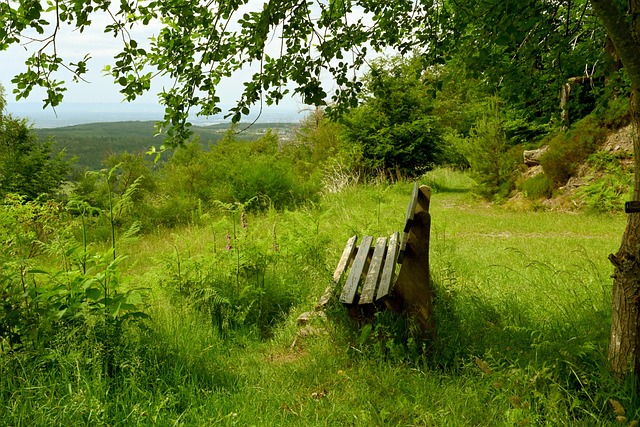 对各参赛队 对各参赛队