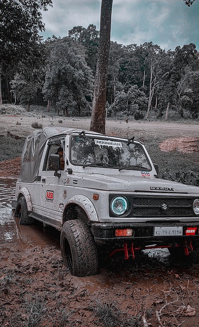 缺席比赛 缺席比赛