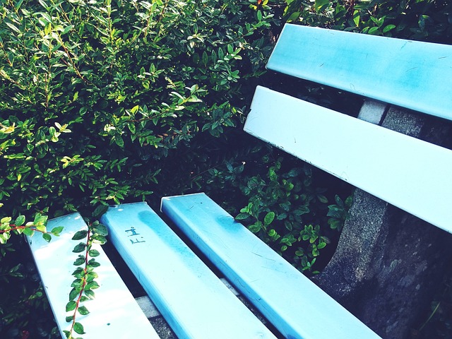 席尔瓦的精 席尔瓦的精