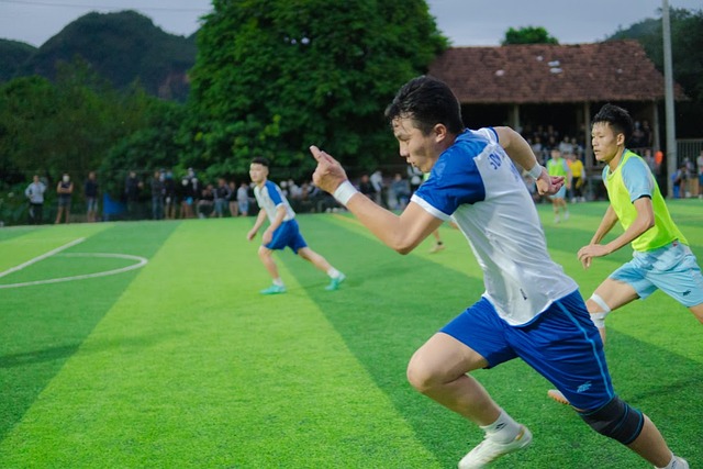 还大大提高 还大大提高