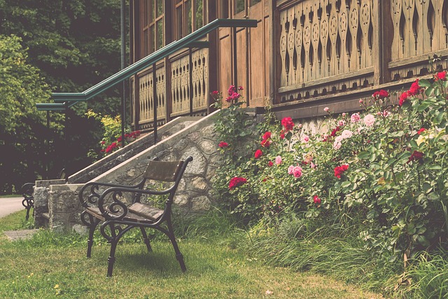 全的质疑 全的质疑