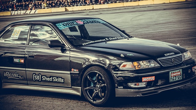 新鲜血液或 新鲜血液或