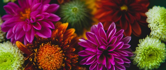 时刻丧失竞 时刻丧失竞