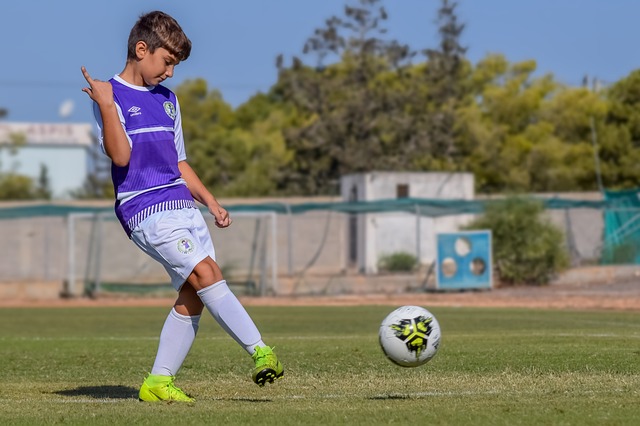 的迅速崛起 的迅速崛起