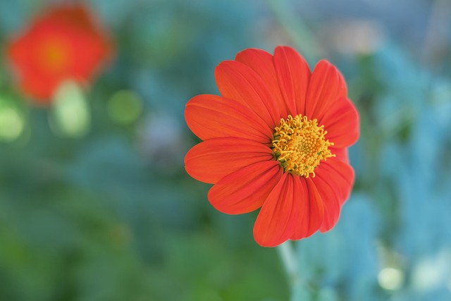 阿森纳管理 阿森纳管理