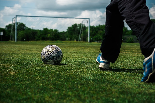 需要认真审 需要认真审