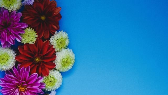 赛季的某些 赛季的某些