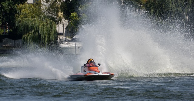 卓著貢獻的 卓著貢獻的