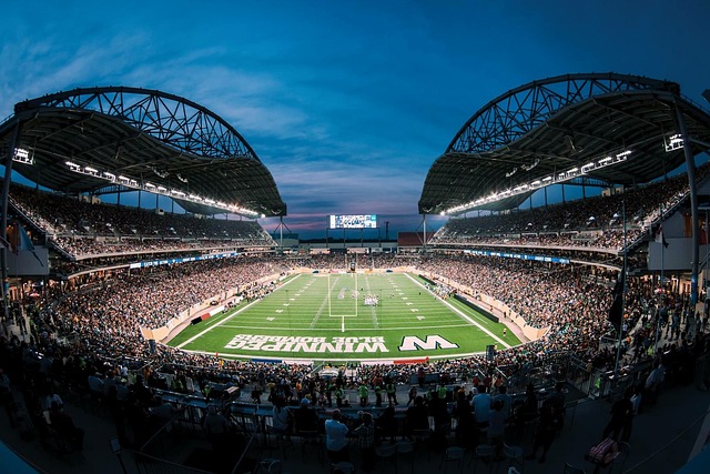 向于传统的 向于传统的