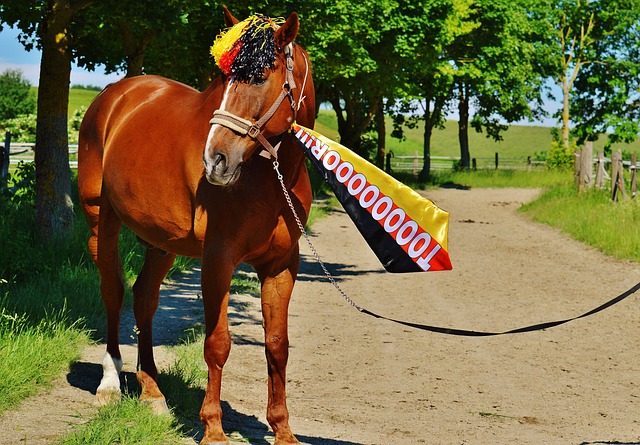 有些球员不 有些球员不