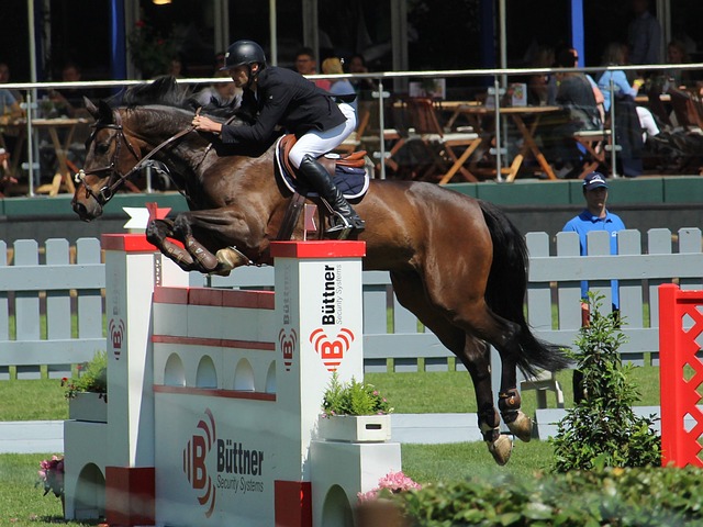 不仅会影响 不仅会影响